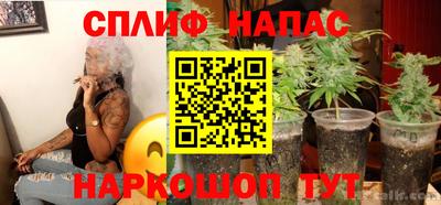 шишки Уссурийск